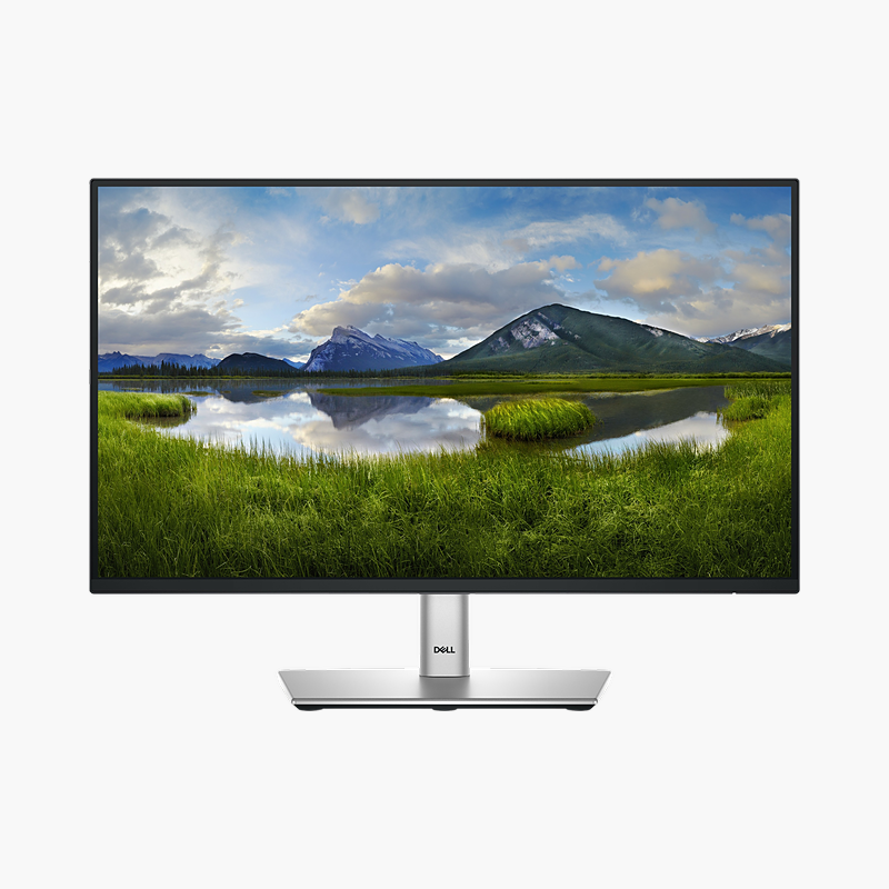 Dell Pro 22 P2225H 21.5" Full HD IPS Monitor (P2225H)