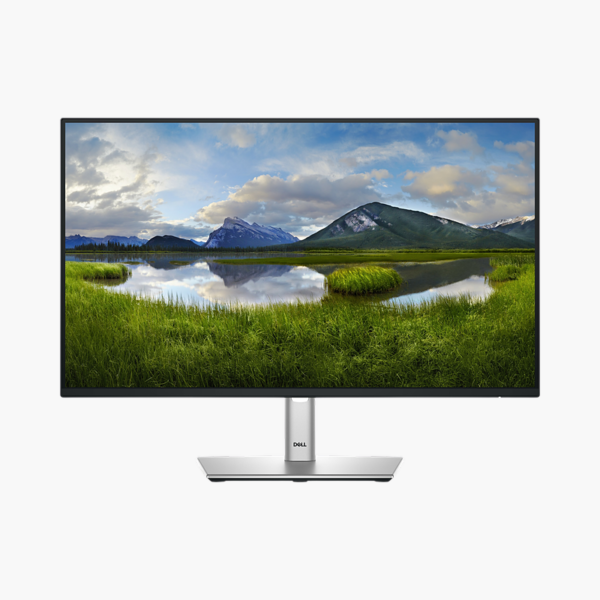 Dell Pro 24 P2425HE 23.8" Full HD IPS USB-C Hub Monitor (P2425HE)