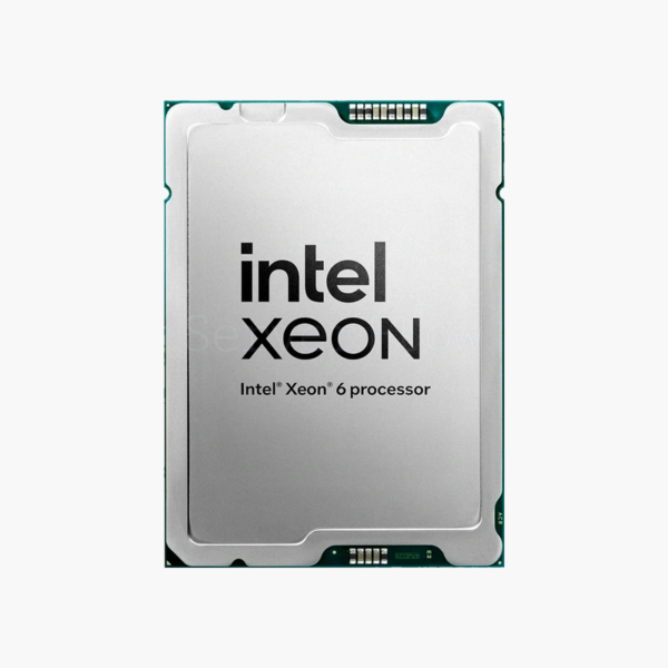Intel Xeon 696X Workstation Processor (BX80720696X)