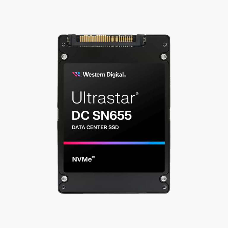 SanDisk DC SN655 61.44TB Enterprise NVMe SSD (0TS2512)