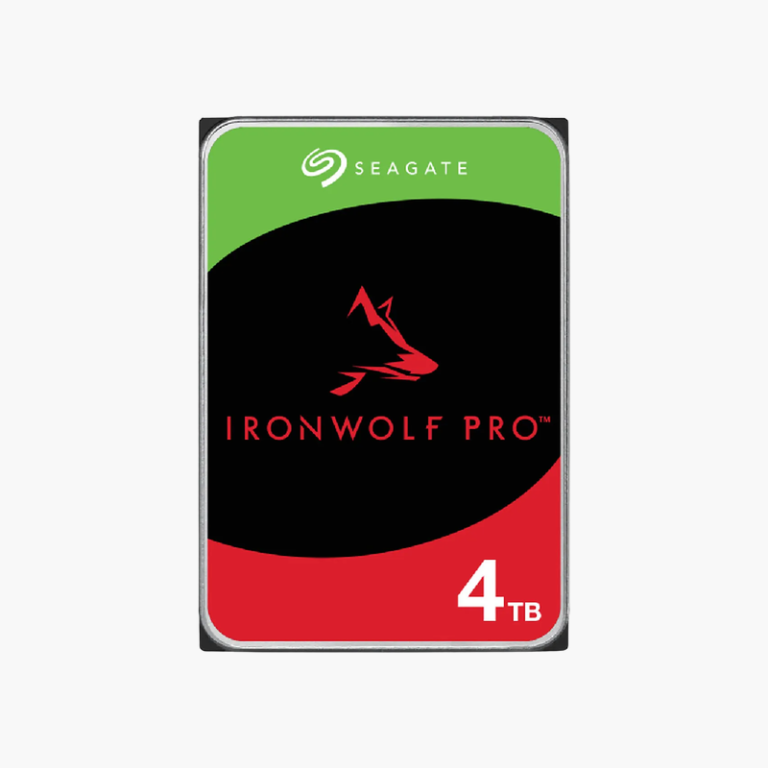 Seagate IronWolf Pro 4TB NAS Hard Drive (ST4000NT001)