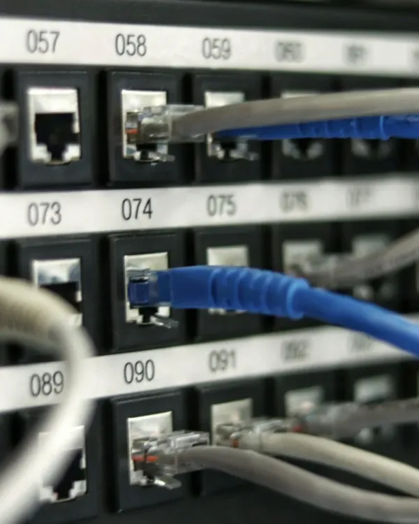 Network switch with patch cables